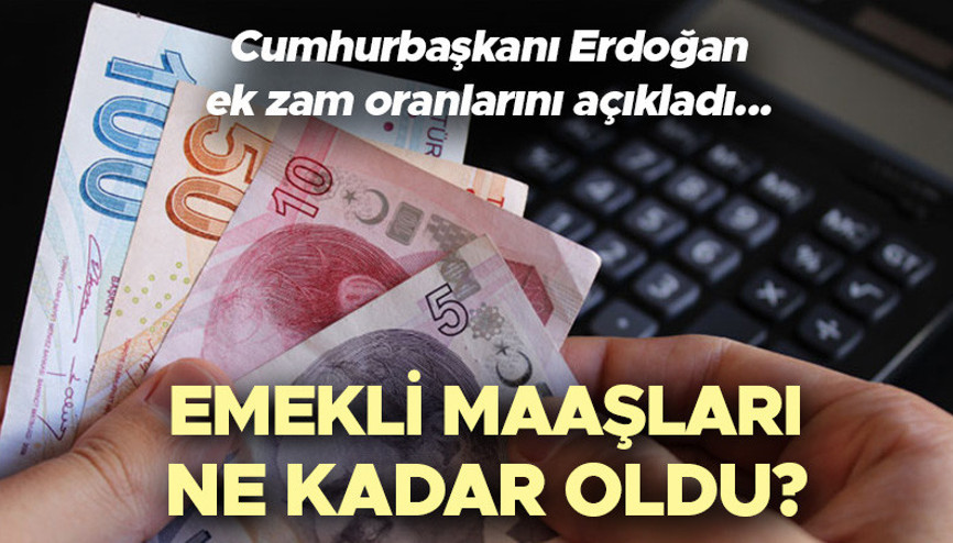EMEKLİYE EK ZAM 2024 NE KADAR OLDU SON DAKİKA📌  2024 yeni emekli maaşları ne kadara çıktı, tarım, SSK, Bağkur emekli maaşlarına yüzde kaç zam yapıldı Cumhurbaşkanı Erdoğan açıkladı