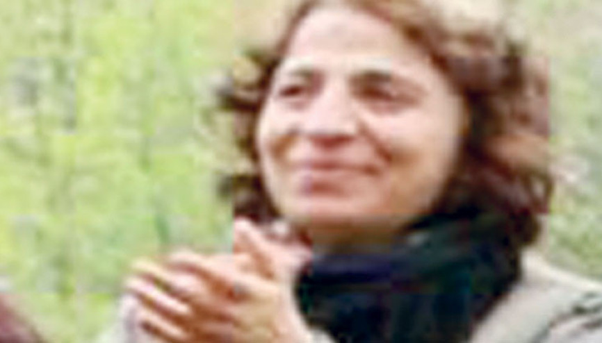 PKK’ya bir darbe de Kamışlı’da