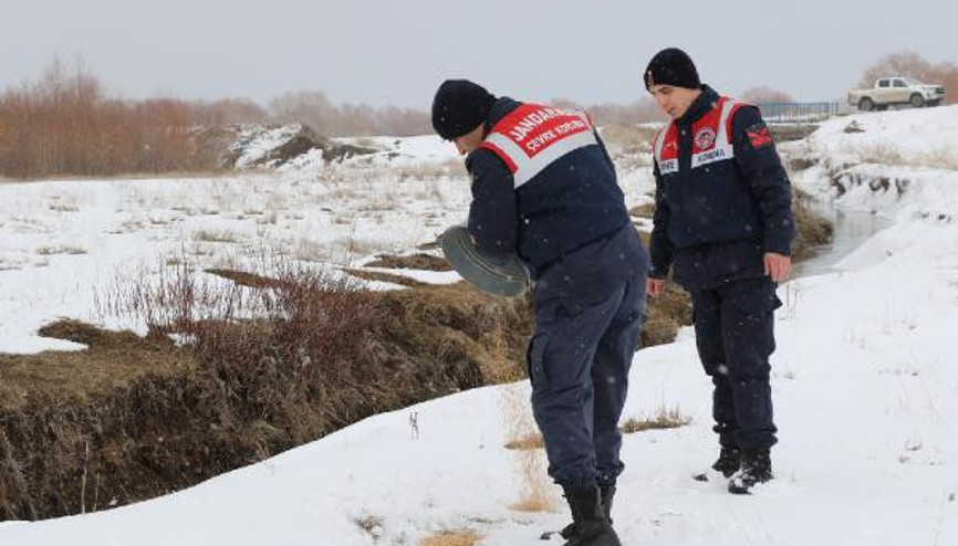 Jandarma ekipleri doğaya yem bıraktı