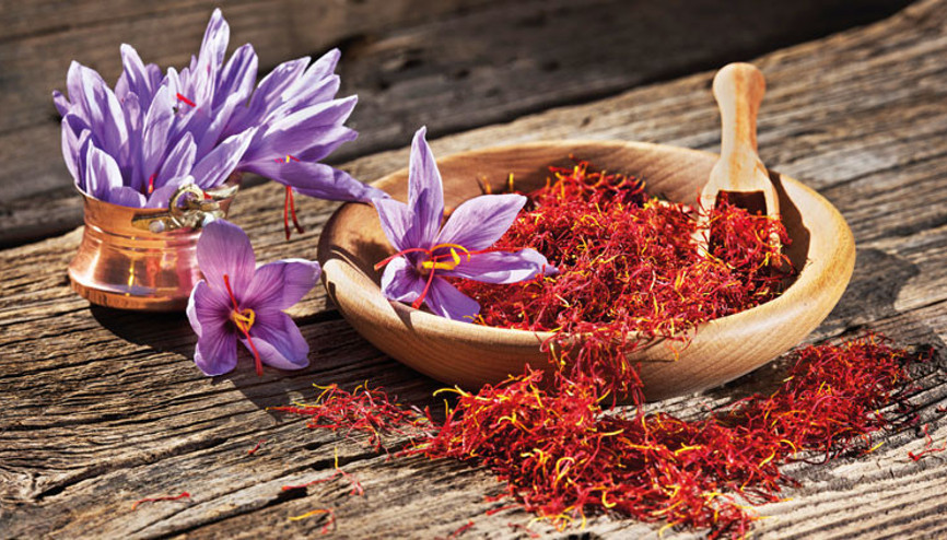 Bin yıllık safran Avrupa yolunda Bin yıllık safran Avrupa yolunda