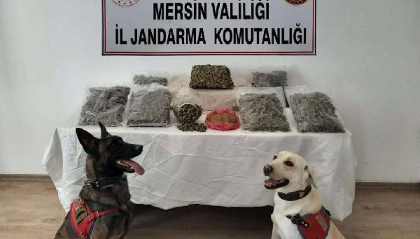 Mersinde uyuşturucu operasyonu: 2 gözaltı
