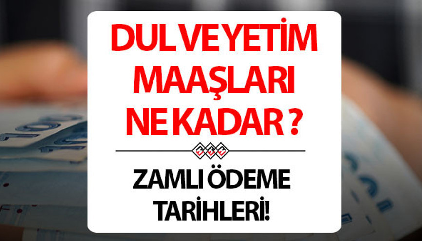 DUL VE YETİM MAAŞI NE KADAR OLDU 2024 | Dul ve yetim maaşı zamlandı mı, yüzde kaç zam yapıldı İşte 2024 Ocak yeni dul ve yetim aylığı