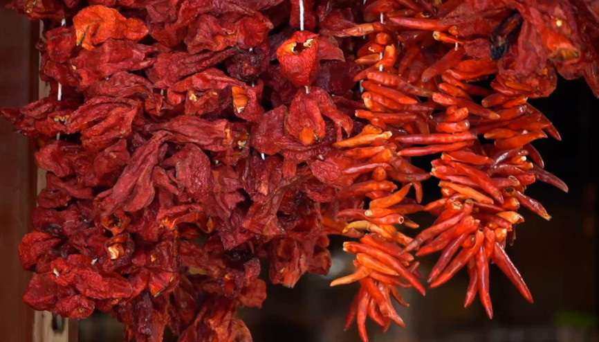 Baharat Müzesinde 150 çeşit baharat sergileniyor