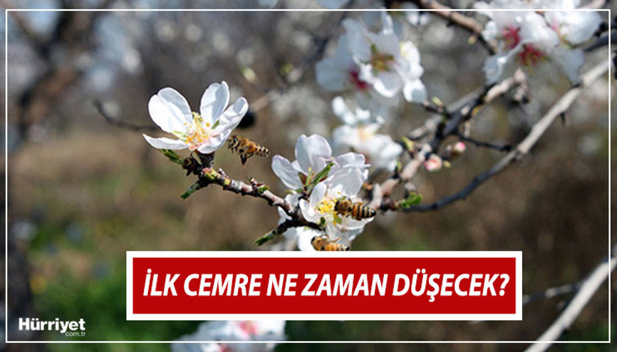CEMRE NE ZAMAN DÜŞECEK 2024 | İlk cemre nereye, hangi tarihte düşer Baharın habercisi olarak biliniyor... İşte 2024 cemre düşme tarihleri
