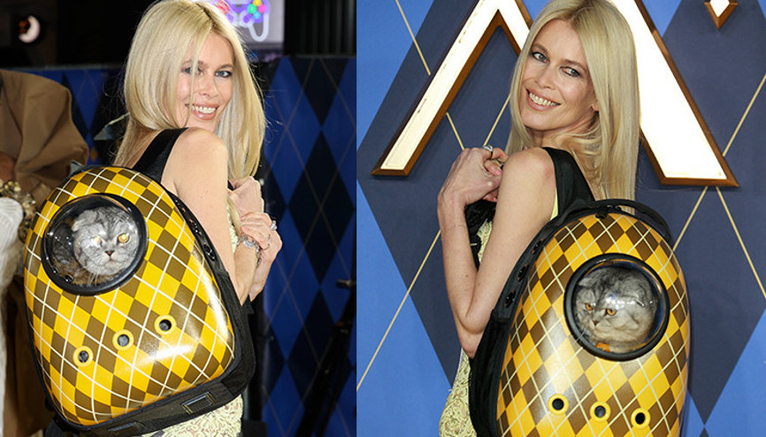 Herkes ünlü oyuncuları bırakıp onu izledi: Ünlü model kırmızı halıda kedisiyle şov yaptı