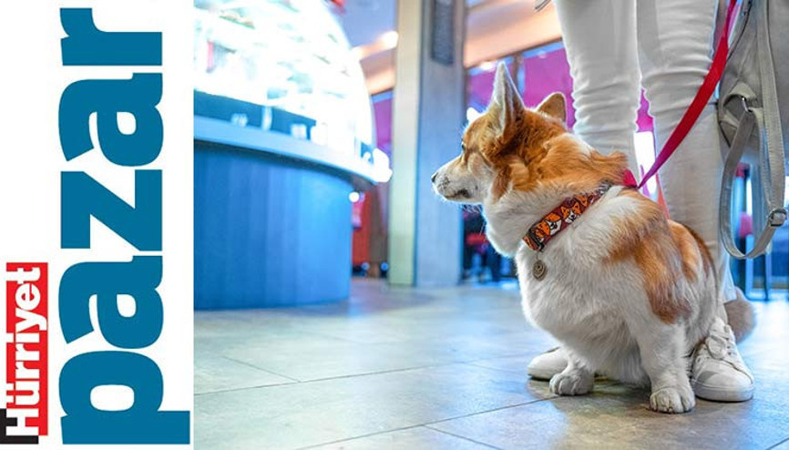 Kusura bakma Turtacım ama fazla büyüksün