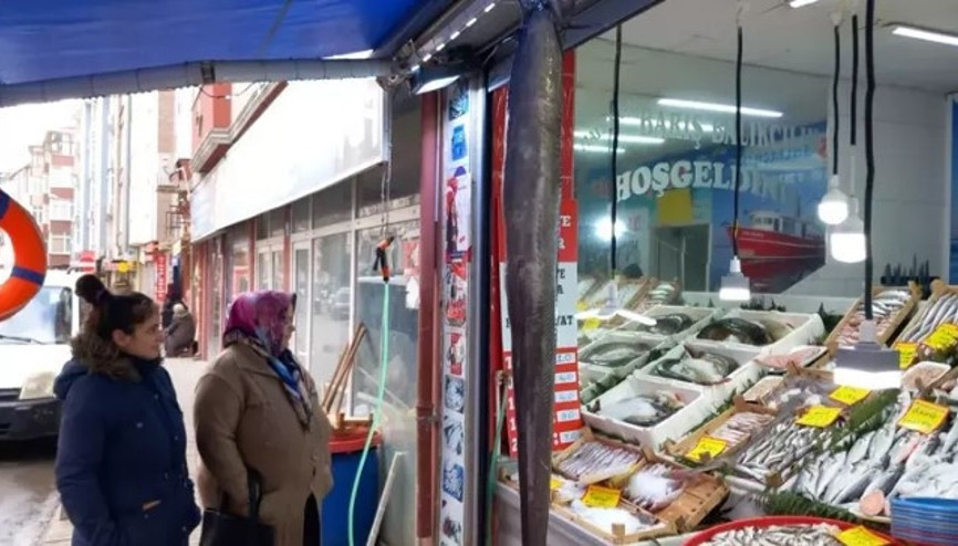 Saros Körfezinde yakalanan dev müren balığı görenlerin ilgi odağı oldu