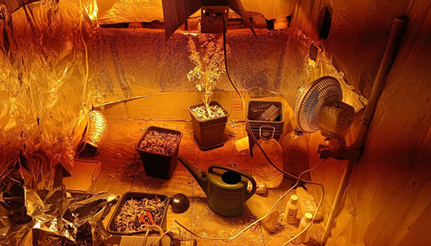 Bilecikte bir eve baskın: Skunk bitkisi yetiştirmek için iklimlendirme sistemi kurmuş