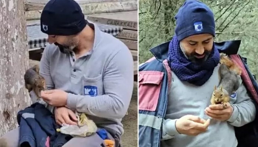 Çanakkalede mezarlık işçisinin sincaplarla bağı görenleri şaşırtıyor