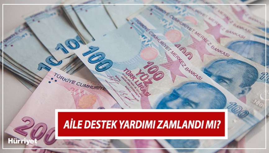 AİLE DESTEK ÖDEMESİ ZAMLI MI YATACAK ŞUBAT 2024 SON DAKİKA || Şubat ayı aile destek yardımı ne zaman yatacak, ne kadar oldu İşte Aile Destek Programı ödeme sorgulama ekranı