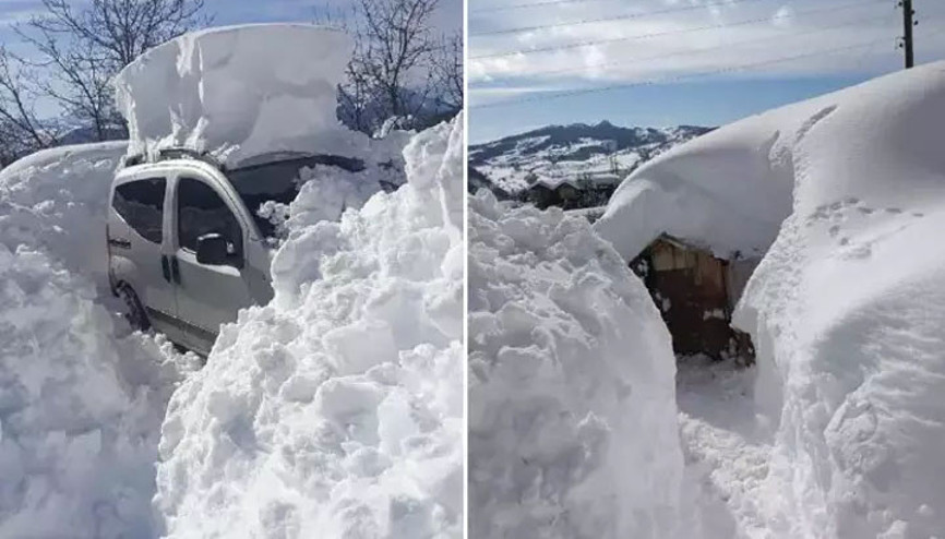 Artvin Şavşatta son 20 yılın kar rekoru