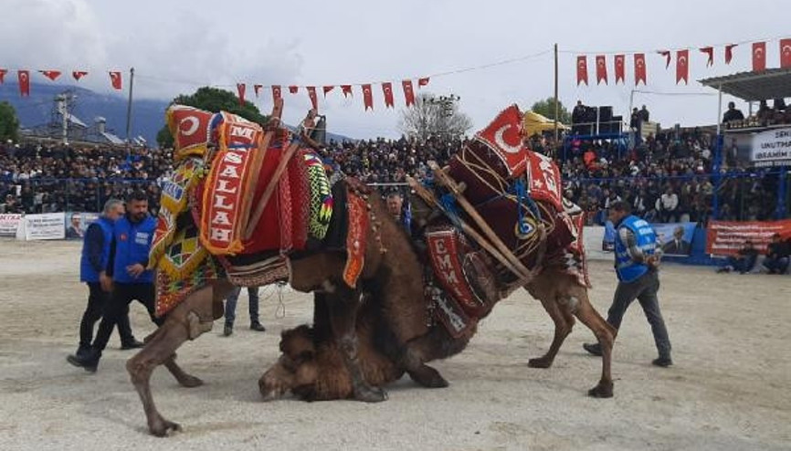 Demrede deve güreşleri düzenlendi