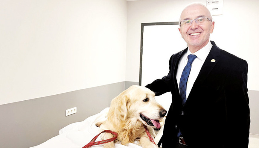 Hasan Hoca umut oldu... Sokak köpekleri sorununu 300 öğrenciyle çözeriz demişti