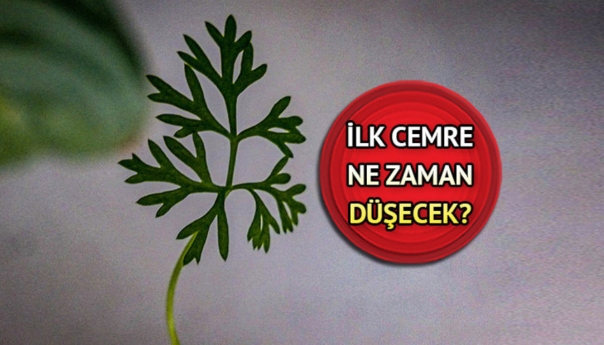 CEMRE DÜŞME TARİHLERİ 2024 || Baharın habercisi cemre havaya düştü mü İlk cemre düştü mü, ne zaman düşecek CEMRE DÜŞME TARİHLERİ 2024 || Baharın habercisi cemre havaya düştü mü İlk cemre düştü mü, ne zaman düşecek