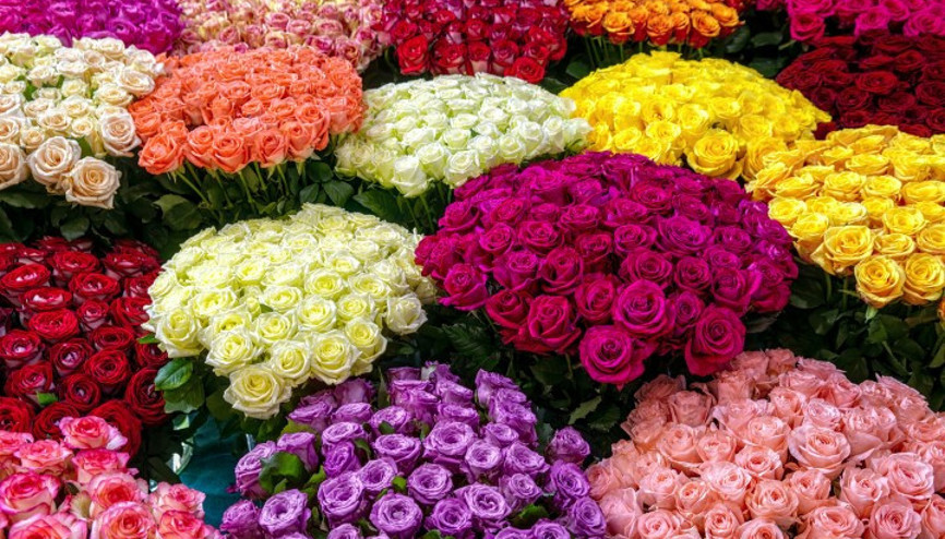 Sevgililer Gününde ya da herhangi bir günde gül hediye etmek çok kötü bir fikir Nedeni ise hiç tahmin edemeyeceğiniz kadar ciddi…