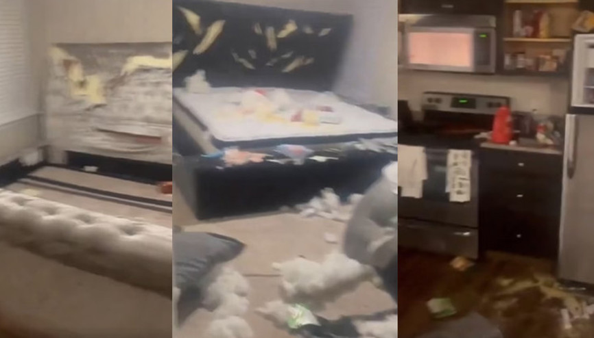 Sevgililer Gününde hediye almayan erkek arkadaşının evini harabeye çevirdi Sosyal medyanın konuştuğu intikam...