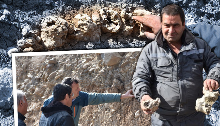 Niğde’de fosil diye incelemeye alınmıştı Gerçek bambaşka çıktı