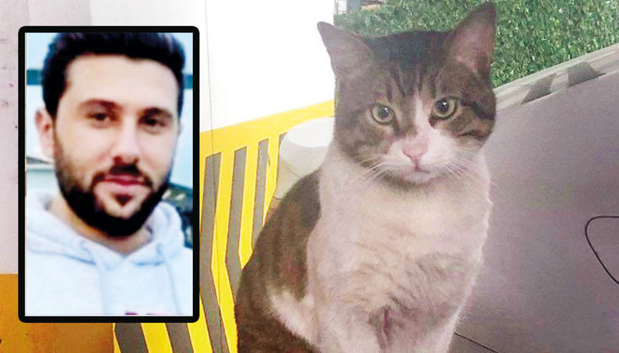 Erdoğan’dan kedi Eros telefonu: Bu nasıl olur