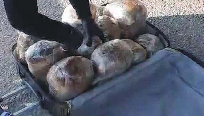 Osmaniyede durdurulan otobüsteki bir valizden 11 kilo uyuşturucu çıktı Yolcu tutuklandı