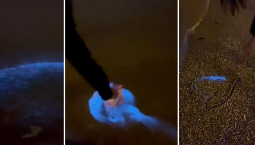 Bursada denizin rengi değişti İşte nedeni