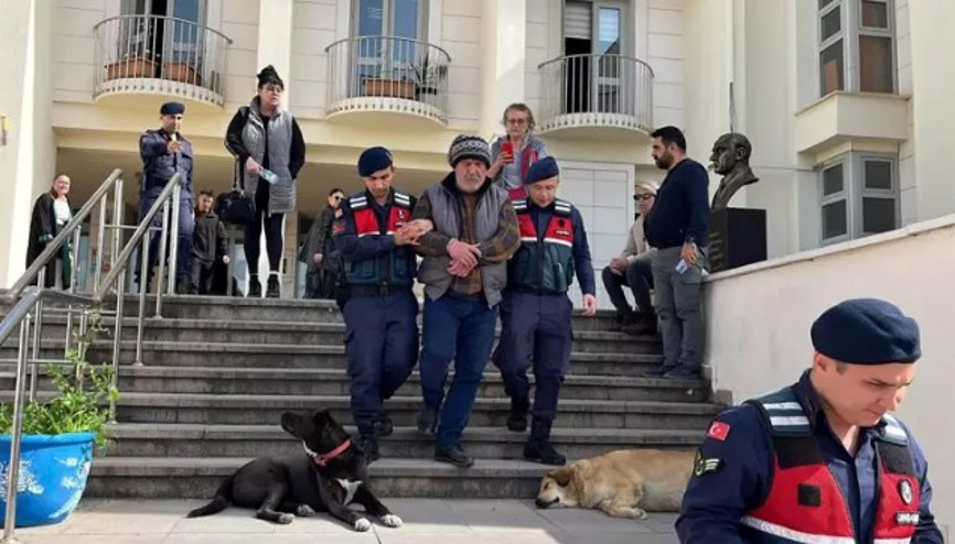 Bodrumda 4 köpek ile 3 kediyi zehirleyerek öldüren şüpheliyi özel ekip yakaladı