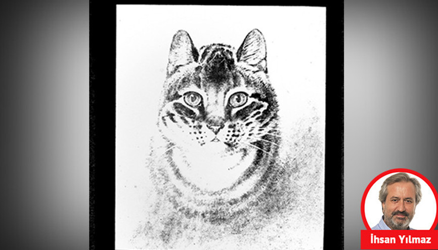 Tarihin ilk kedi fotoğrafı
