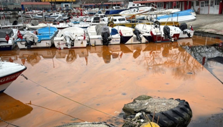 Tekirdağ sahilinde denizin rengi turuncu oldu
