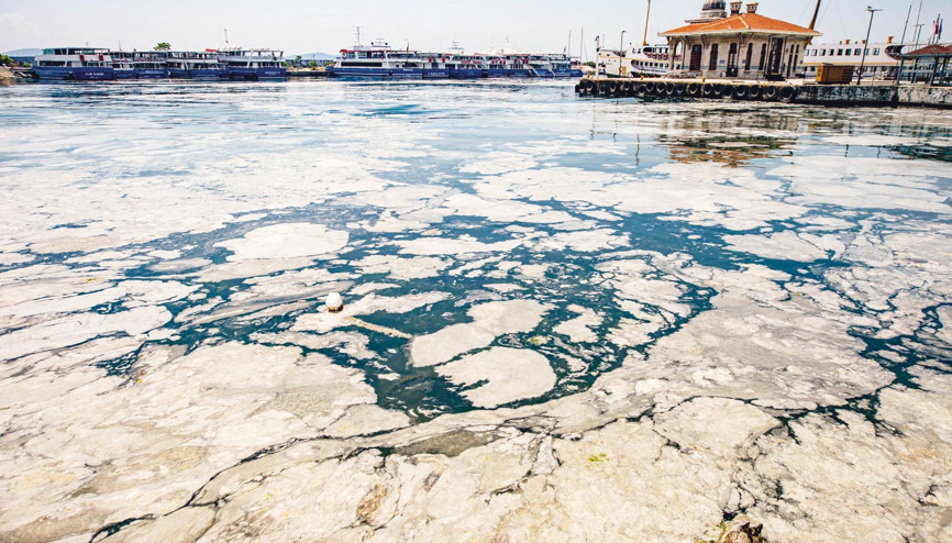 Marmarada müsilaj tehlikesi Marmarada müsilaj tehlikesi