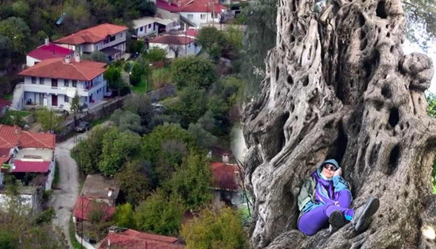 Hobisi işi oldu Ünlü oyuncu zeytinyağı satıyor...