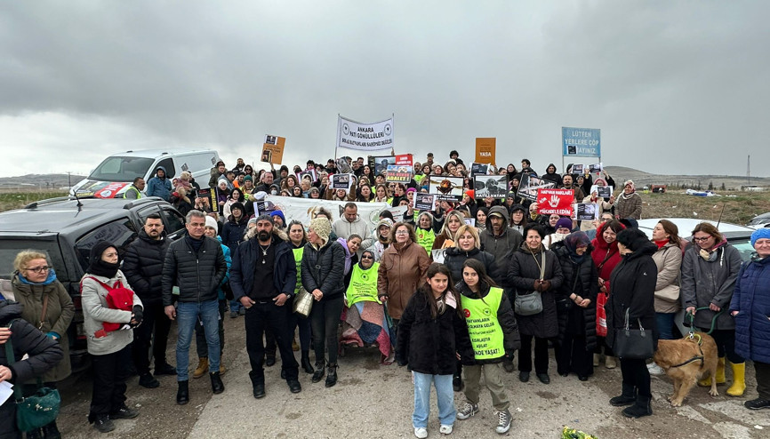 Hayvanseverlerden ortak açıklama: Masum canlar sahipsiz değildir