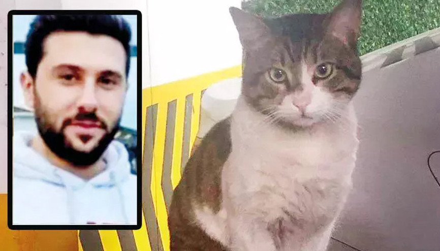 Kedi Erosu vahşice katletmişti İbrahim Keloğlanın cezası belli oldu... İyi hal indirimi uygulandı