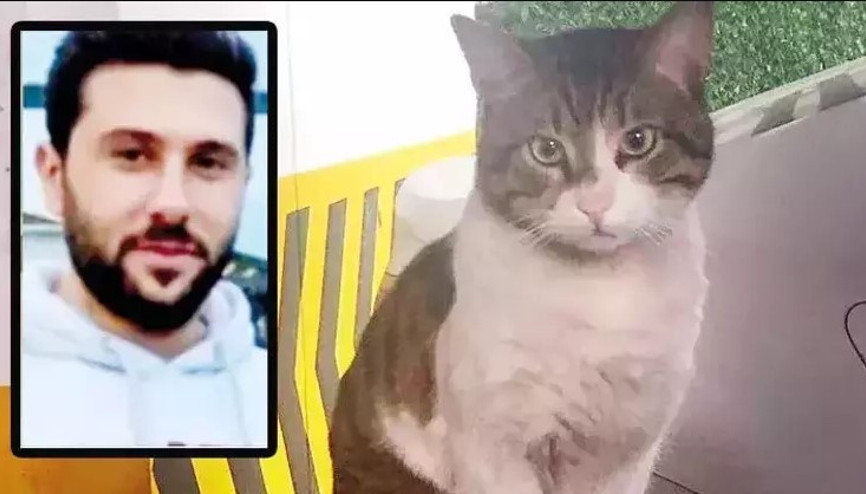 Kedi Eros için hayvanseverler adliyeye akın etti