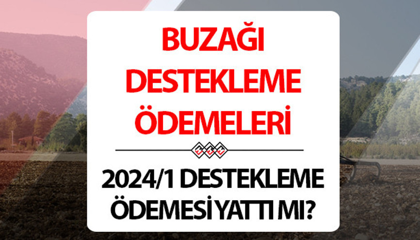 Buzağı desteği ne zaman yatacak 1. Dönem buzağı desteği ödemeleri 2024 için tarih detayı