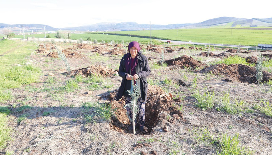 Eşi kollarında ölen Leyla yaşama zeytin fidanlarıyla tutundu Eşi kollarında ölen Leyla yaşama zeytin fidanlarıyla tutundu