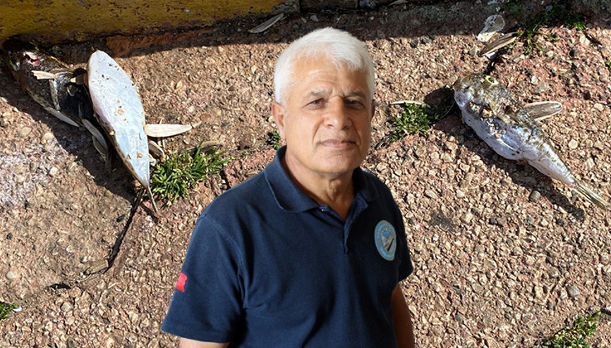 Ölümlere neden olmuştu... Tehlike şimdi de karada Rastgele atmayın, gömün