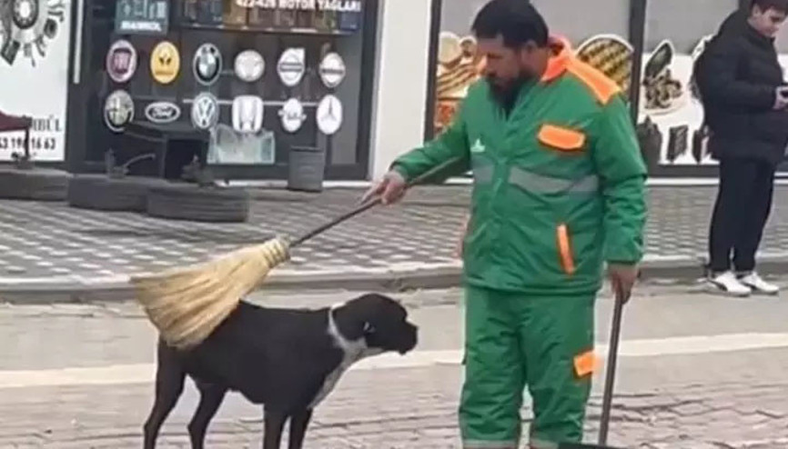 Bursada köpeği önce süpürgeyle kaşıdı sonra sevdi