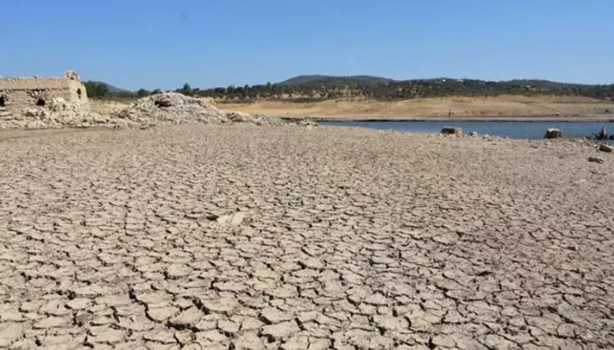 Doç. Dr. Ceyhun Özçelikten Bodruma kuraklık uyarısı: Çiftçilerin hazırlıklı olması gerekiyor