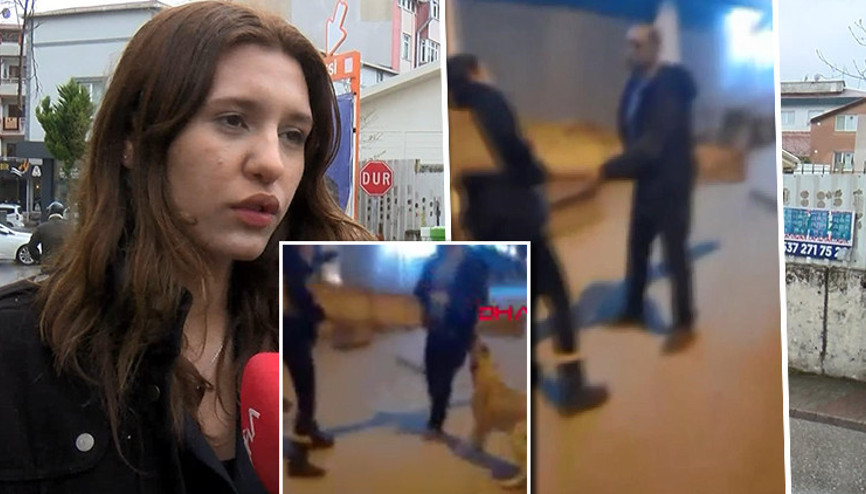 Çekmeköyde sokak köpeği Bobi tacizden kurtardı Çekmeköyde sokak köpeği Bobi tacizden kurtardı