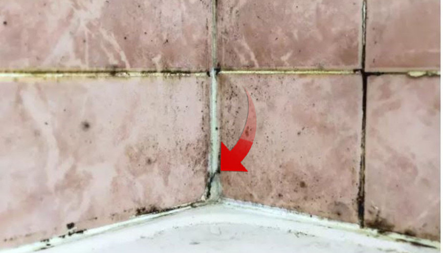 Banyodaki küften kurtulmanın püf noktaları... Çoğu insan küfün varlığından haberdar olmuyor ve sağlığımızı tehdit ediyor Banyodaki küften kurtulmanın püf noktaları... Çoğu insan küfün varlığından haberdar olmuyor ve sağlığımızı tehdit ediyor