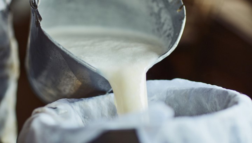 Hangisi daha sağlıklı: İnek sütü mü yoksa bitkisel sütler mi