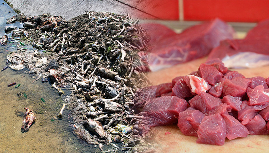 Uzmanlar açıkladı: At eti sulu olur, mangal söndürür Uzmanlar açıkladı: At eti sulu olur, mangal söndürür