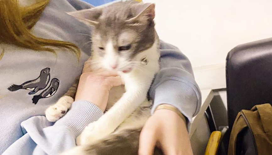 ‘Luna’nın işkencecisi yakalandı