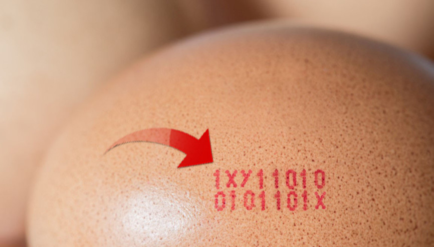 Yumurta üstündeki rakamlar ne anlama geliyor Yumurta üstündeki rakamlar ne anlama geliyor