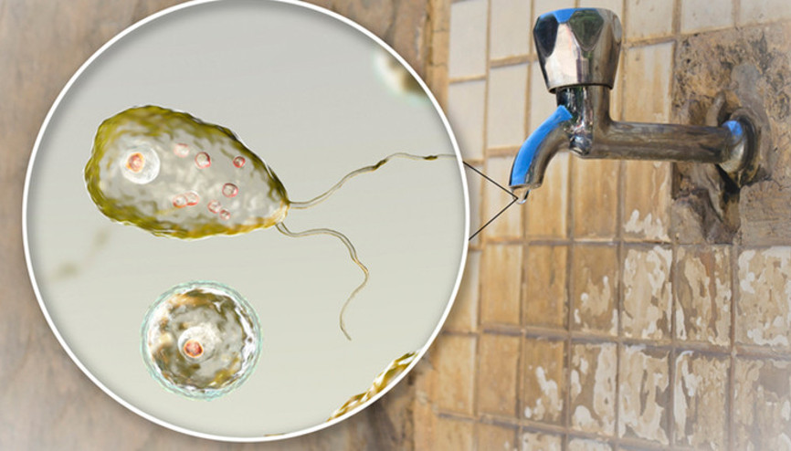 İngiltereye Naegleria uyarısı Burundan girip beyni istila ediyor: Ölüm oranı yüzde 99