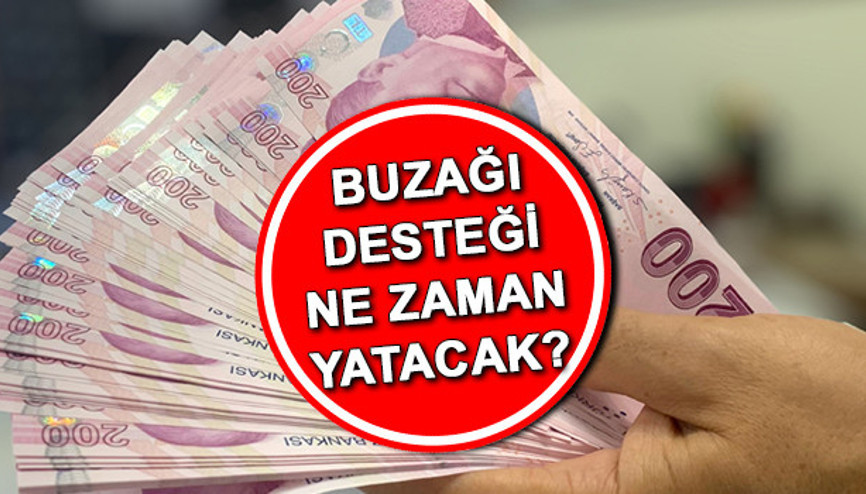 Buzağı desteği ne zaman yatacak, yattı mı 2024 | Nisan ayı 2. Dönem buzağı desteği başvuruları başladı...