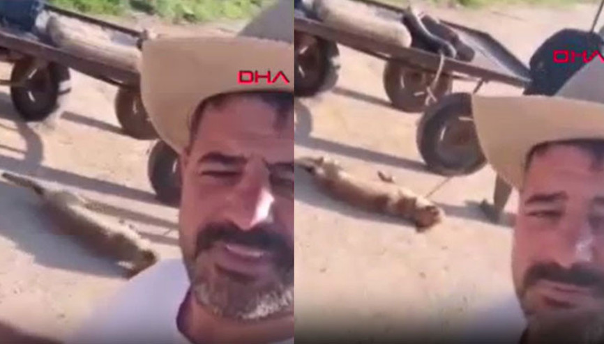 Öldürdüğü köpeği at arabasına bağlamıştı Kıskıvrak yakalandı