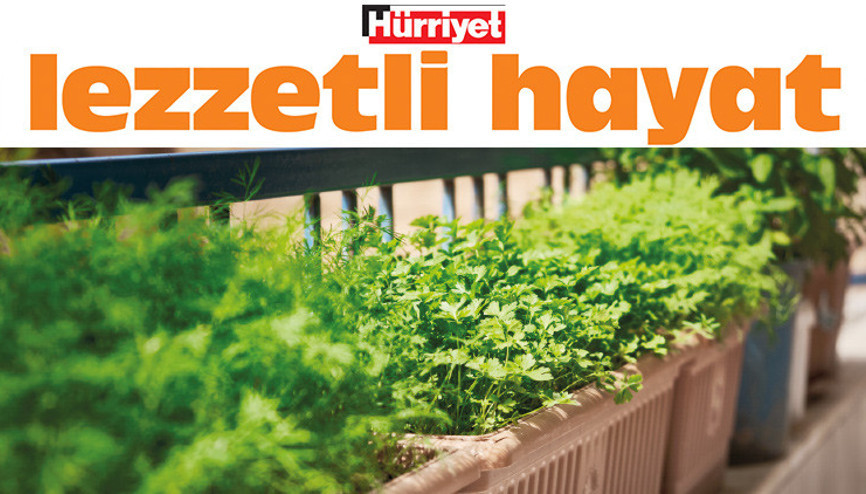 Aromatik bitkiler elimizin altında olsun