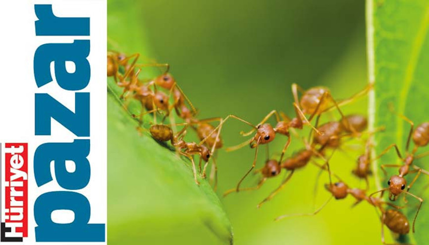 Zehirleme, uzaklaştır