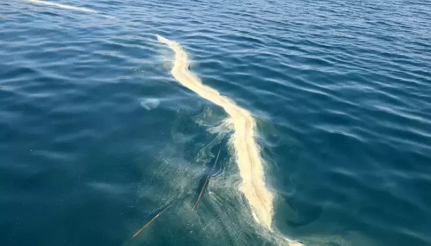 Antalya açıklarında denizanası ve sarı birikinti incelemesi