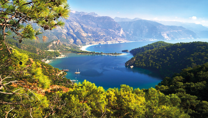 Zayıflayan ormanların karbon tutma gücü düşüyor Zayıflayan ormanların karbon tutma gücü düşüyor